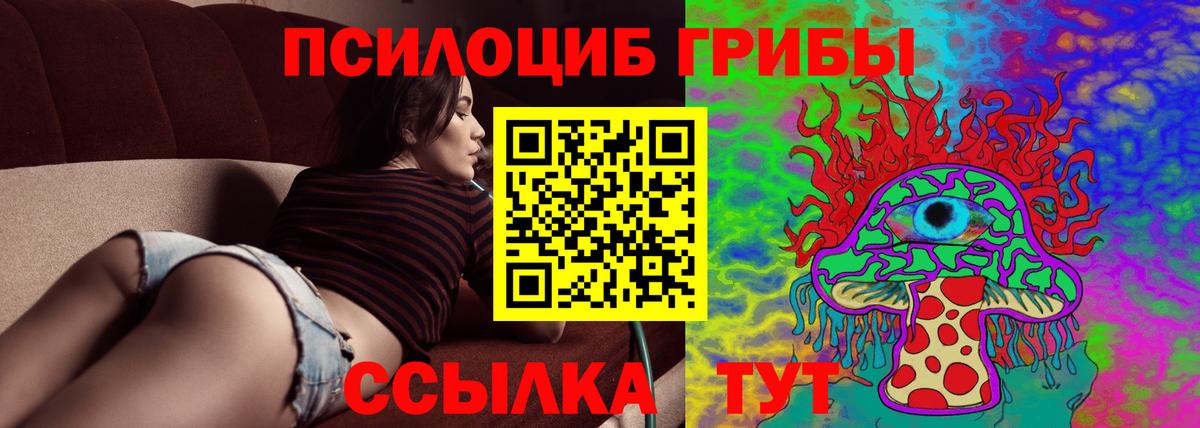 Псилоцибиновые грибы GOLDEN TEACHER  Псилоцибиновые грибы Psilocybine cubensis  Оренбург  Вход с VPN 